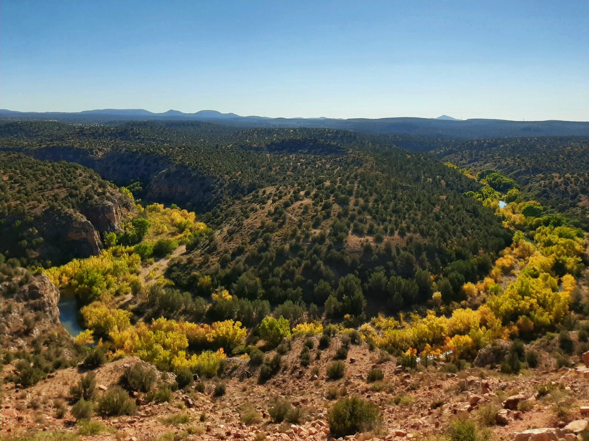 VerdeCanyonRail's tweet photo. Goin' for the gold! Verde Canyon Railroad's riparian route brings passengers close to fantastic #FallColors along the Verde River. #FallColorTours #AutumnInAZ https://t.co/Qs8P6RAsw2