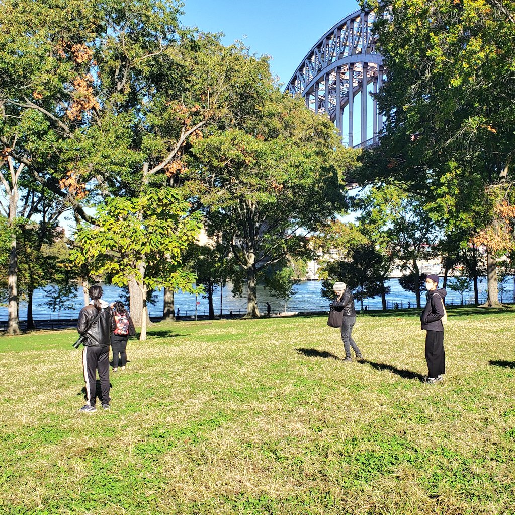 About 32 species for the #OctoberBigDay in Astoria Park. Thank you @secret_egret for showing us this spot!