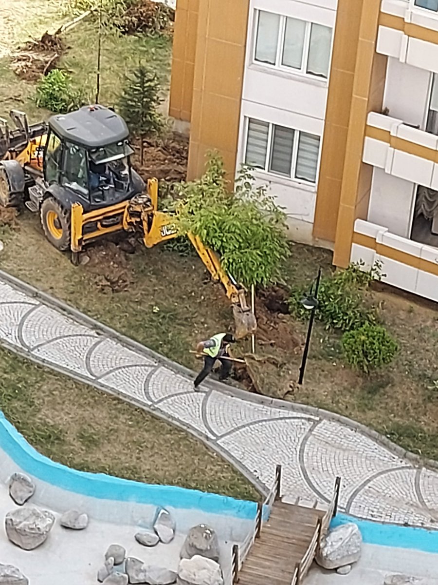 Rayfun (@rayfun10) on Twitter photo 