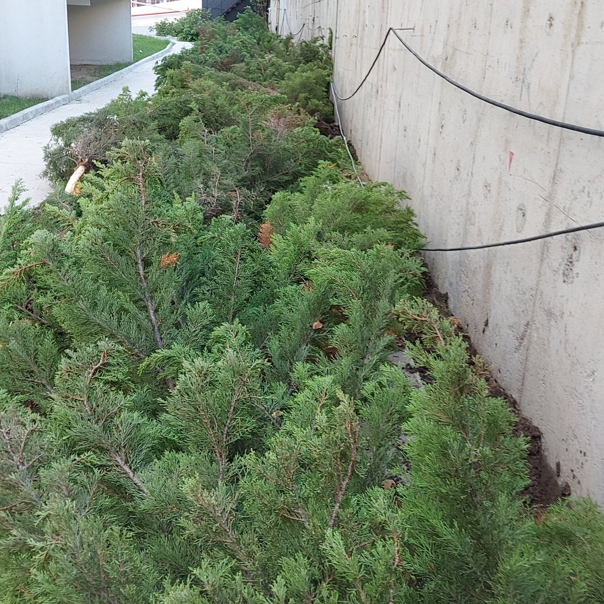 Rayfun (@rayfun10) on Twitter photo 