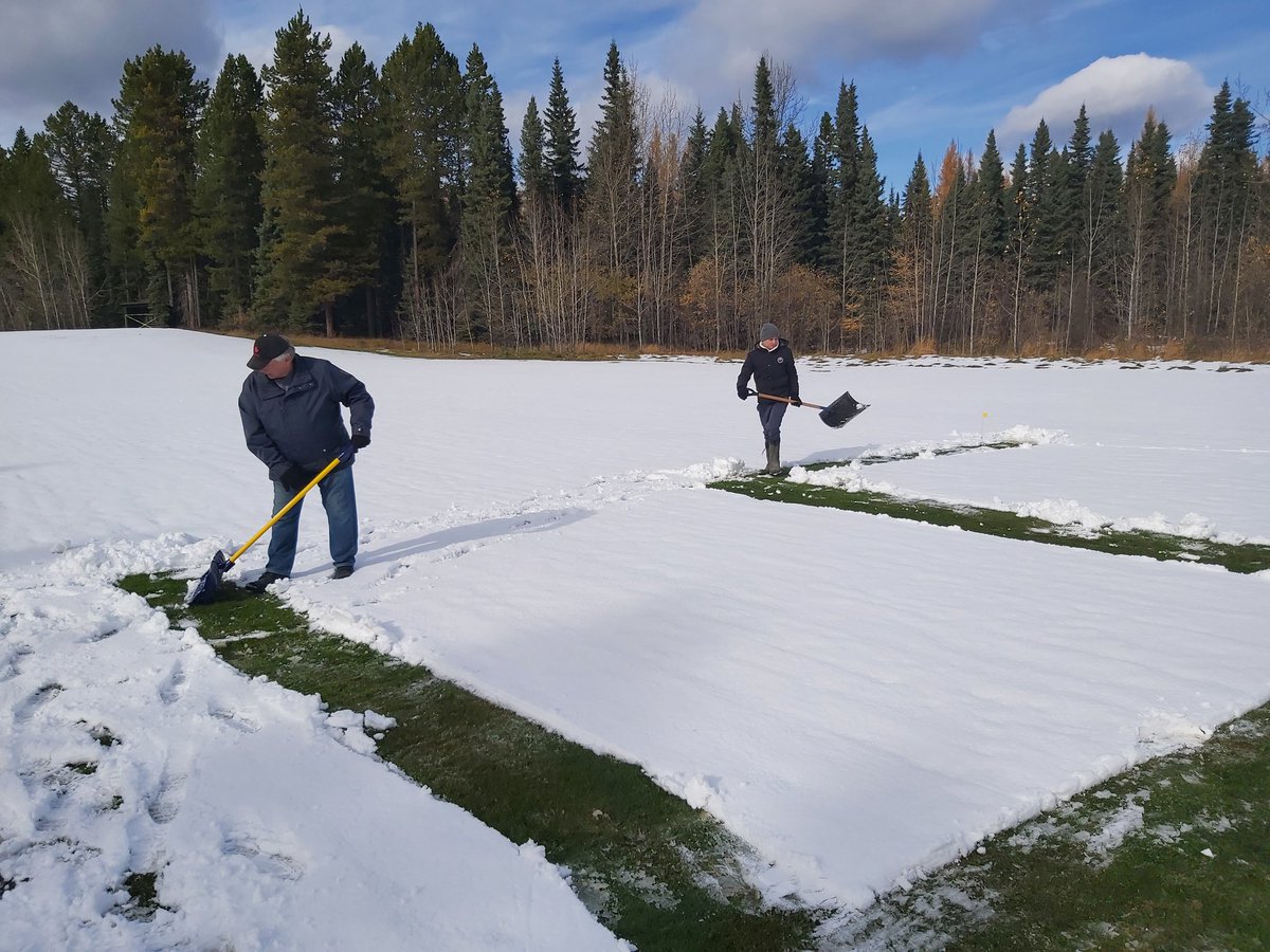 PTRC (@p_t_r_c_) on Twitter photo Snow mold project is underway <a href="/BASF/">BASF</a> <a href="/BASFCanada/">BASF Canada</a> <a href="/BASFTurf_us/">BASF Turf US</a> <a href="/OldsCollege/">Olds College of Agriculture & Technology</a> Snow mold project is underway <a href="/BASF/">BASF</a> <a href="/BASFCanada/">BASF Canada</a> <a href="/BASFTurf_us/">BASF Turf US</a> <a href="/OldsCollege/">Olds College of Agriculture & Technology</a>