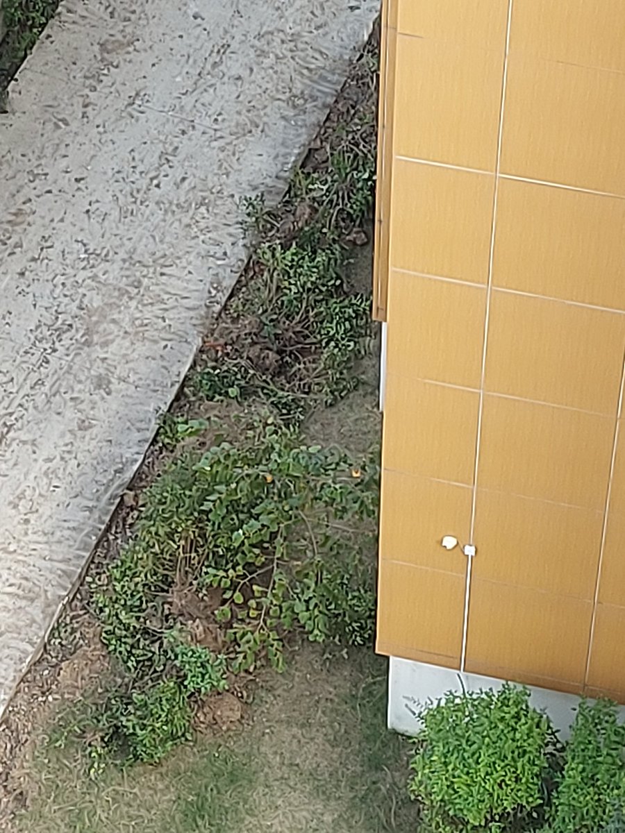 Rayfun (@rayfun10) on Twitter photo 