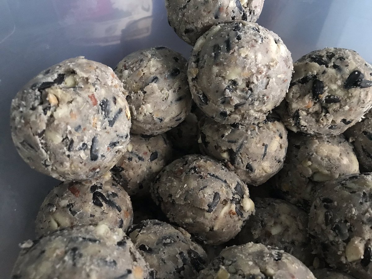 MaisDieuDoverBB's tweet image. There’s always a disorderly queue at our #birdtable 😊 mostly chattering #sparrows but since buying #deluxe #fatballs from @gardenerscottag it’s clear #birds can #tastethedifference #greattit #bluetit #goldfinch #robin all regulars now👍🏻 @StembrookArcade #giftshop @DoverBigLocal