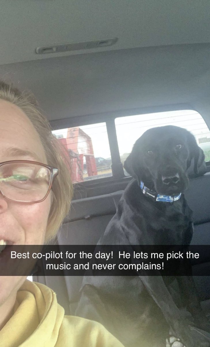 Rachel Truelsen tweet media