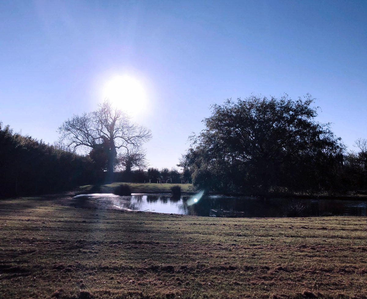 SocialAgUK's tweet photo. Sometimes all you  need to do is  pop into your back garden and admire the scene around you #BritishCountryside

📷 Elsie Green https://t.co/Df9xsXBn6Y