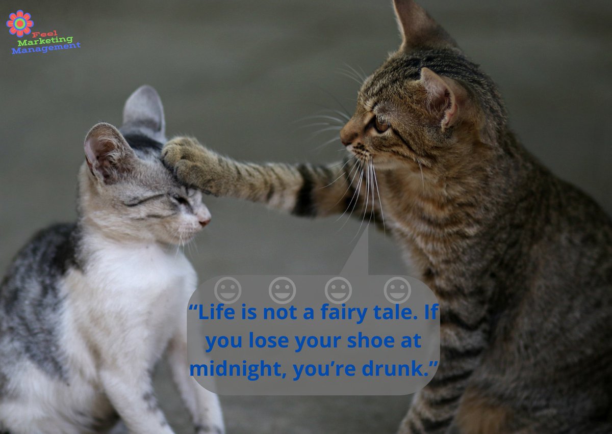 feel_management's tweet photo. Make your life like a fairy tale😀.Have a nice Weekend..
#laugh  #feelmarketingmanagement   #digitalmarketing #marketing #socialmediamarketing #fuunyquotes    #onlinemarketing #instagram #entrepreneur  

#funnymemes #memes #joke #hilariousmemes.

 https://t.co/DyKK4ybRAs https://t.co/HsGBZoMYAI