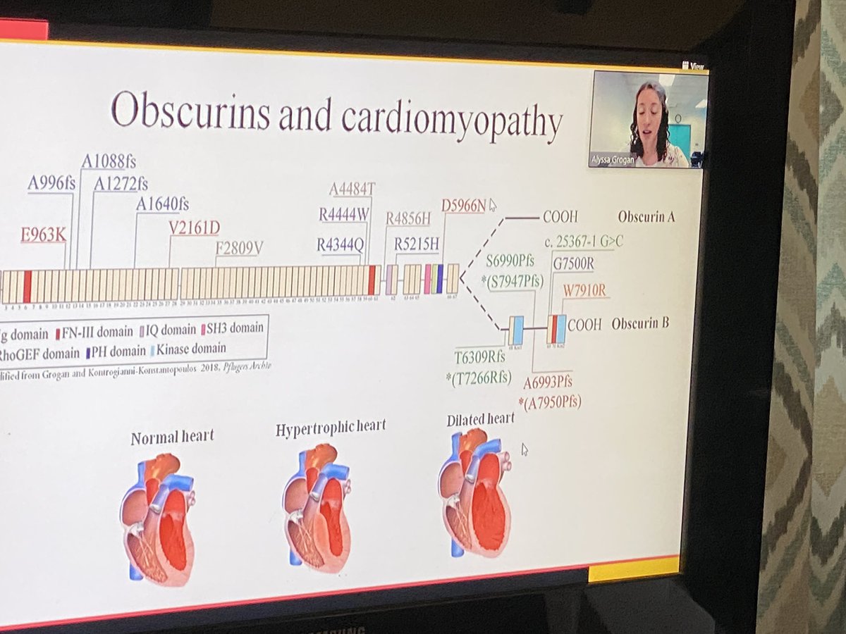 LizCenti's tweet photo. Proud mama day for me yesterday. Congrats 2 my daughter @MerryLyssmas for defending her dissertation & earning her PhD in Molecular Medicine .Fun time in Baltimore celebrating her-although I didn’t understand any of it 😂 so proud!#SmartGirlsRule #proudMomOfAPhDaughter #CallHerDr https://t.co/o6wsHIp57J