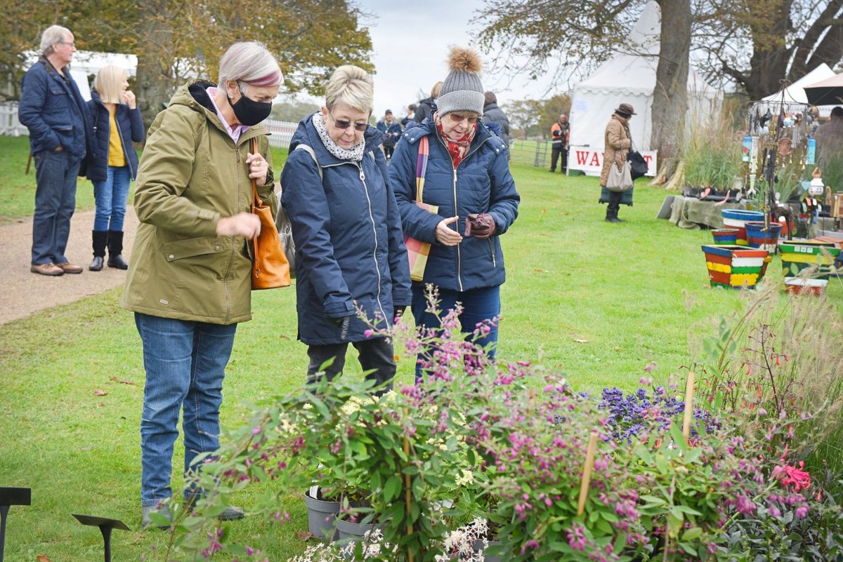 Firle Garden Show tweet media