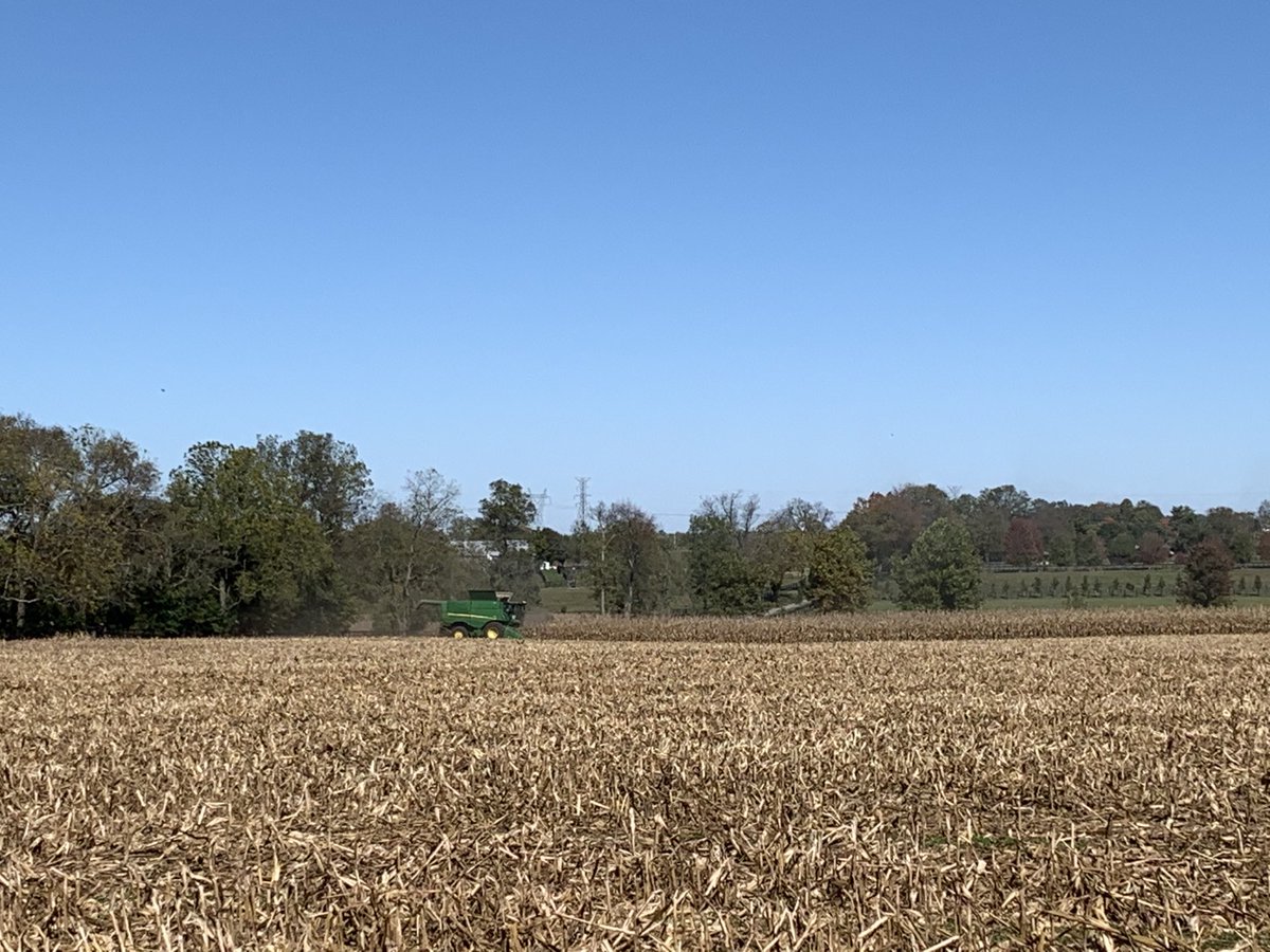 Chad Lee 🧢 tweet media