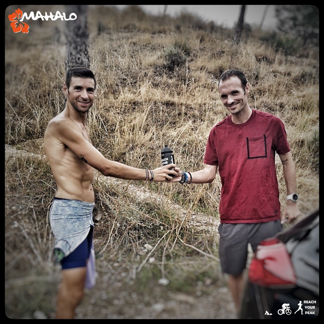 Mahalo Endurance Sports Nutrition tweet media