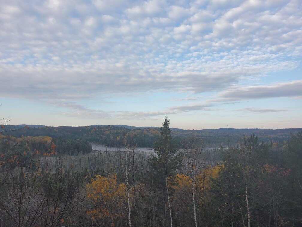 Good morning,
It is a quiet morning in Algonquin. There are 3 lanes open at the West Gate.
Donβt forget your toque and mitts, it is a cool and frosty morning!
π https://t.co/07arOacIBD