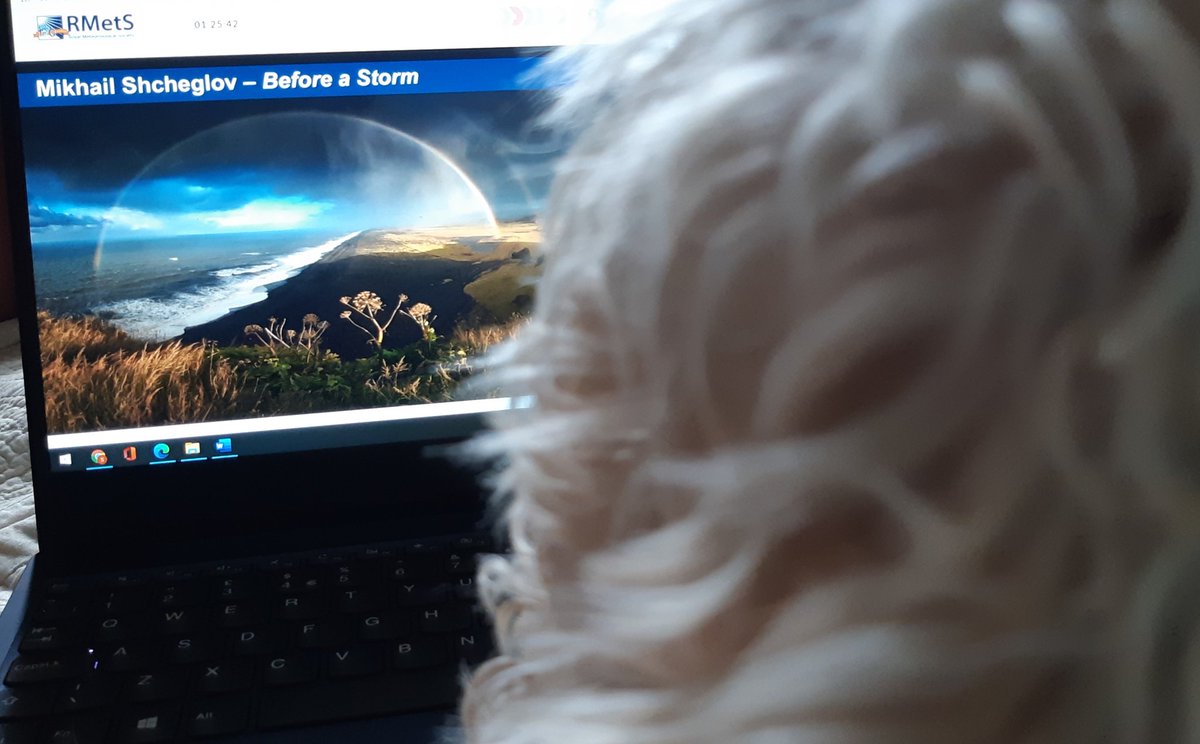 brunocockapoo's tweet image. Enjoying listening in to @RMetS #WeatherLive as it's virtual this year #WeatherDog