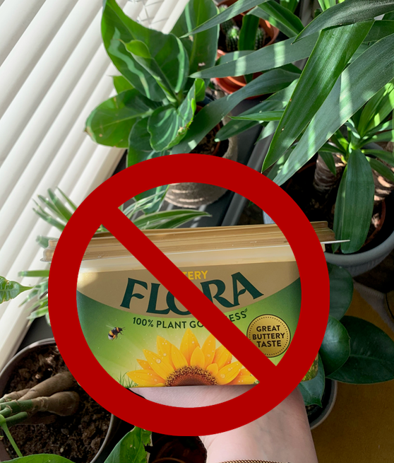 casstilda's tweet photo. If you're disappointed that @Flora are adding buttermilk to #Florabuttery , here are some vegan and dairy free alternatives! https://t.co/199AH6JUKX #vegan #vegetarian #dairyfree 🐄❤️ https://t.co/G2vYLBG9dD