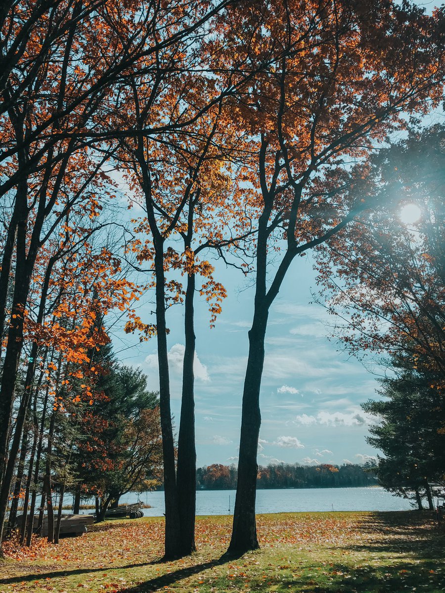MightyOakCabins's tweet photo. Fall in the Northwoods😍 

#northwoods #northwoodswisconsin #vilascounty #anvillake #mightyoakcabins https://t.co/74QHCjgsTW