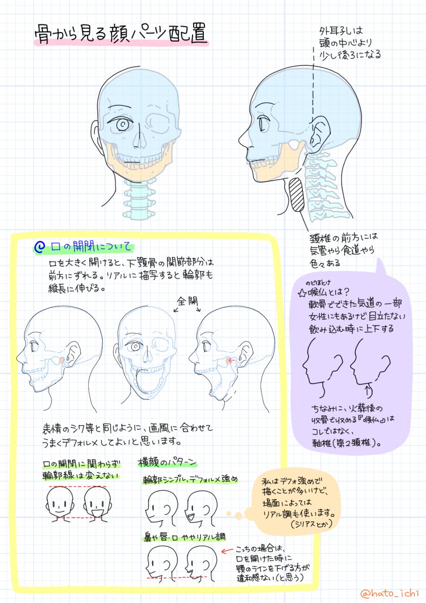 はといち 人体錬成はじめました 第一回は頭と首の骨編です 骨の形やパーツの配置 関節の動き方 イラストに起こす時のポイントなどをまとめてます はといちのイラスト人体錬成 はといち 人体錬成はじめました 第一回は頭と首の骨編です 骨の形やパーツの配置 関節の動き方 イラストに起こす時のポイントなどをまとめてます はといちのイラスト人体錬成