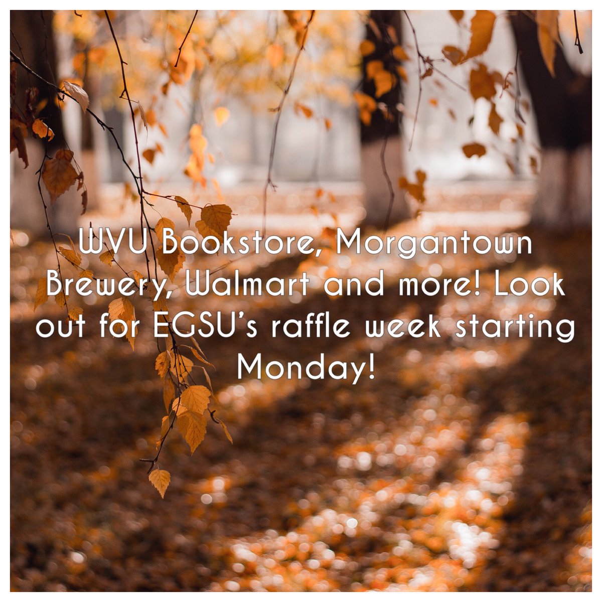 Interested in not having to spend as much money on books or groceries? Want to have some coffee or a fun socially-distanced night at the Morgantown Brewery on us? Then look out for this coming Monday, when EGSU raffle week officially starts!