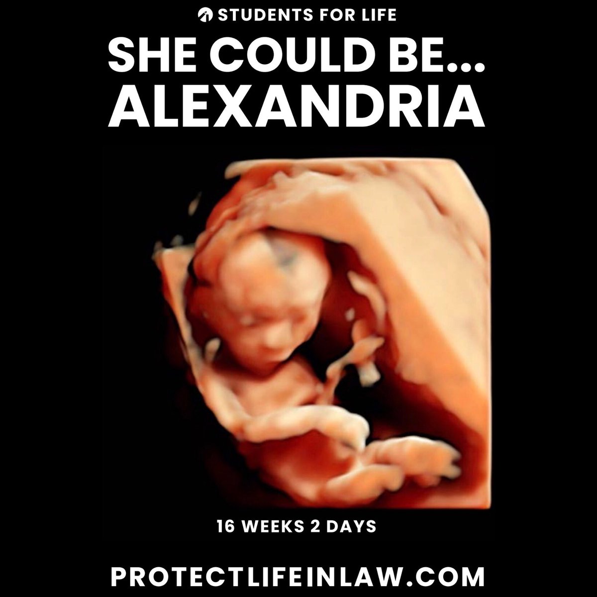 SFLAction's tweet photo. #SheCouldBe anything, but not if she’s aborted.
We deserve a Supreme Court Justice who will #ProtectLifeinLaw and be a #Justice4Life. We must #ConfirmAmy. Give her a vote. Give her a voice.
TAKE ACTION: Urge your Senators to confirm Amy: https://t.co/wXho9qTdGA https://t.co/rjwxTQO6CD