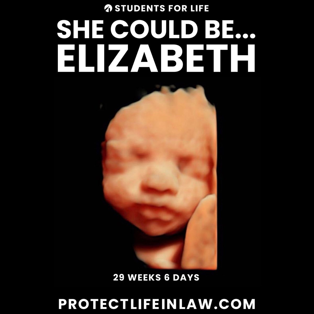 SFLAction's tweet photo. #SheCouldBe anything, but not if she’s aborted.
We deserve a Supreme Court Justice who will #ProtectLifeinLaw and be a #Justice4Life. We must #ConfirmAmy. Give her a vote. Give her a voice.
TAKE ACTION: Urge your Senators to confirm Amy: https://t.co/wXho9qTdGA https://t.co/rjwxTQO6CD