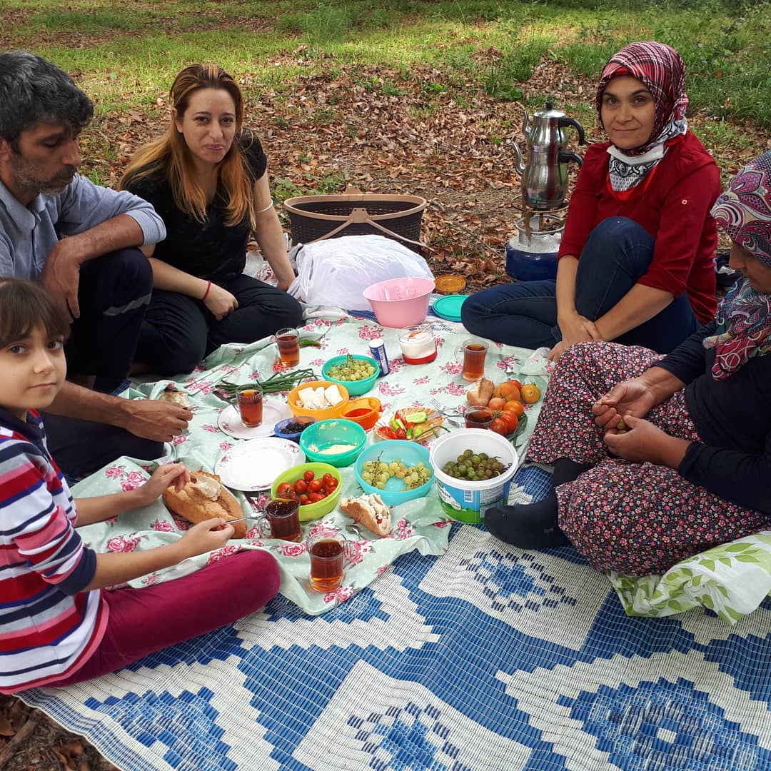 ak14561m's tweet photo. #Bakacak orman dağlarında kestane toplamak için güzel birgün ❗️🍁🍂🌲🌰#kestane 🌰#toplamak #terapi #gibidir https://t.co/93q0Yoqv2g