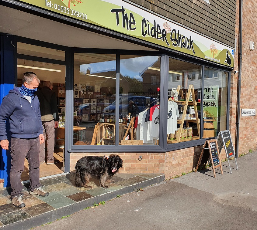 CiderTemple's tweet photo. Deliveries today before getting back to apple picking and pressing next week. It was @BroadwindsorCS first, then off to Yeovil for a stroll in the park before restocking @CiderShackBA21, where Milo decided to do a #ciderdog pose. https://t.co/0tPcS8v4uE
