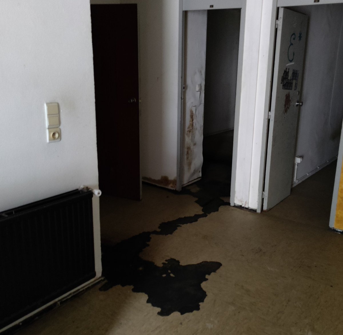 DeanLeysen's tweet photo. Had to check out this abandoned place for work (security stuff) cause people said they heard strange noises coming from it last night. 

Turns out, this is probably how Blair Witch 3 starts. https://t.co/mlotezdyhj