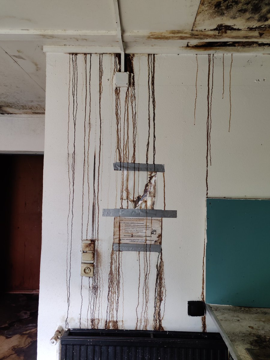 DeanLeysen's tweet photo. Had to check out this abandoned place for work (security stuff) cause people said they heard strange noises coming from it last night. 

Turns out, this is probably how Blair Witch 3 starts. https://t.co/mlotezdyhj
