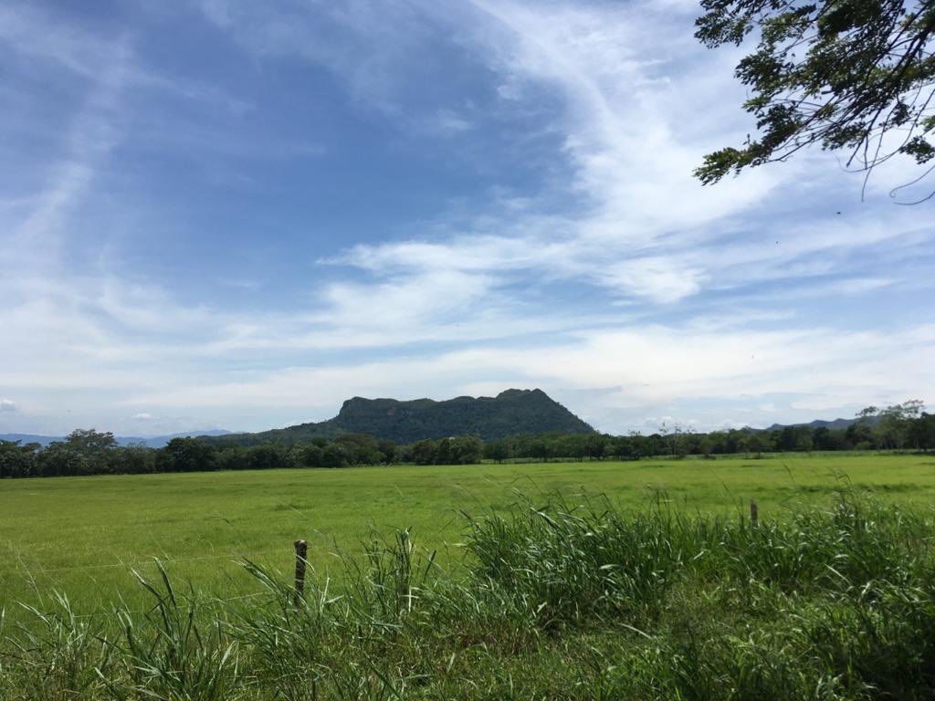 #thepositivesideofCovid19 Living in the Countryside 😀