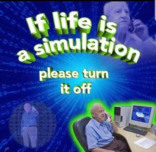 life is a simulation life is a simulation