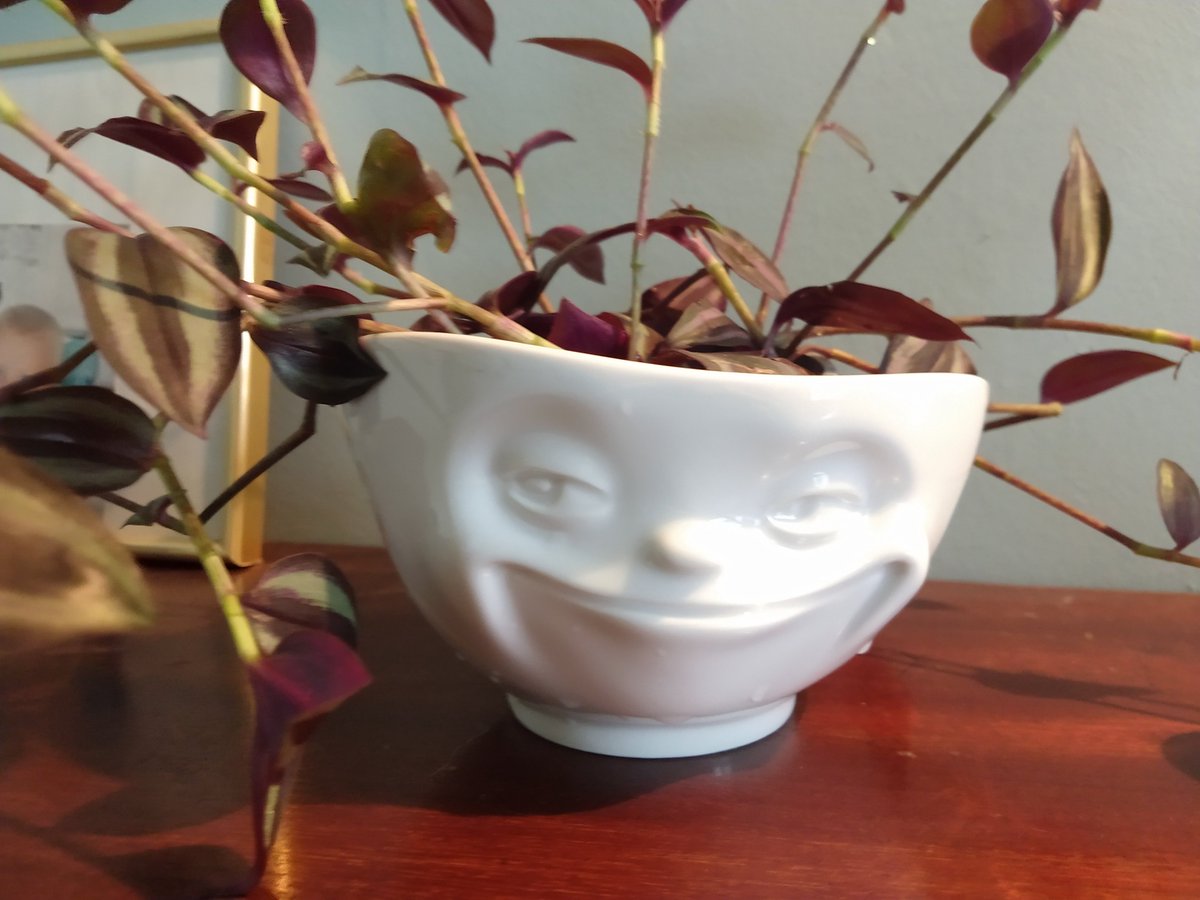 Sally Zacharias (@ZachariasSally) on Twitter photo 17/10/2020 14:38:14 My new pot! My new pot!
