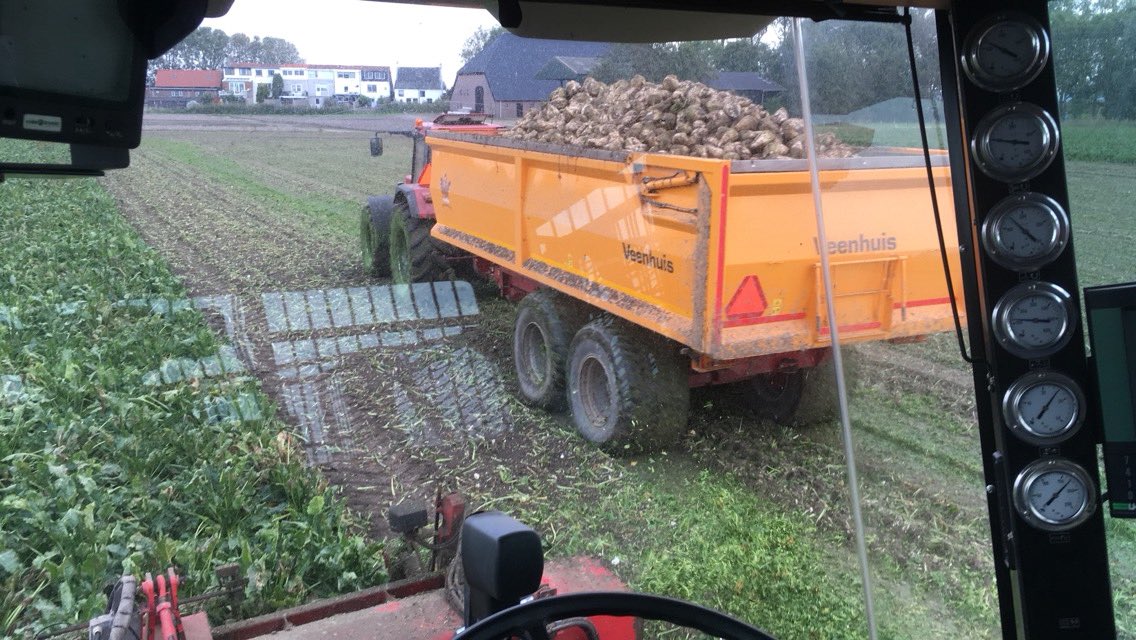 Terwijl <a href="/Leen_Vos/">Leen Vos</a> aardappelen rooit, rooien Thijmen en ik een perceel suikerbieten op #KleinTiengemeten #DIKKEBAKBIETN