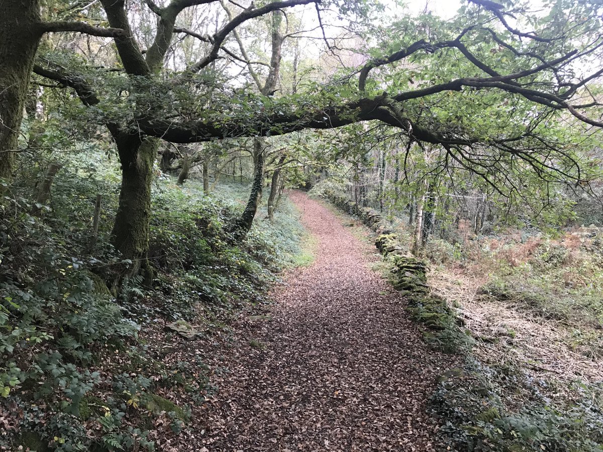 JasemCrimmins's tweet photo. Back on Mynydd Lockdown ! @VisitRCT ( if you’re local) @RCTSport @DerekTheWeather #getoutside #mapOL166 #autumn https://t.co/R0o4WQ1lte