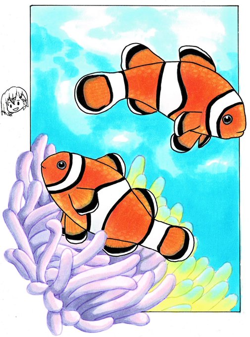 カクレクマノミのtwitterイラスト検索結果 古い順 カクレクマノミのtwitterイラスト検索結果 古い順