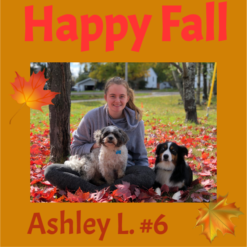 SaintsVball's tweet photo. Ashley L and her pups are enjoying the leaves and this lovely Fall weather! https://t.co/7B19eEAkN9
