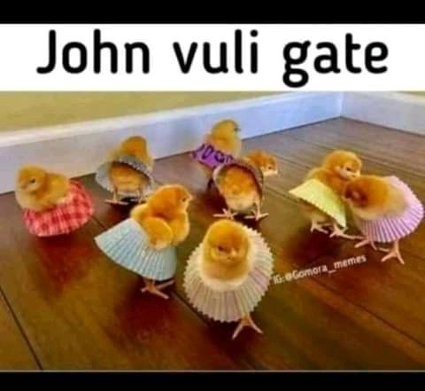 Uyababona nawe baningi man🕺💃💃 yenza njalo #johnvuligate https://t.co/KheY5f77mt<a href="/tag/johnvuligate"class="tags">#johnvuligate</a>