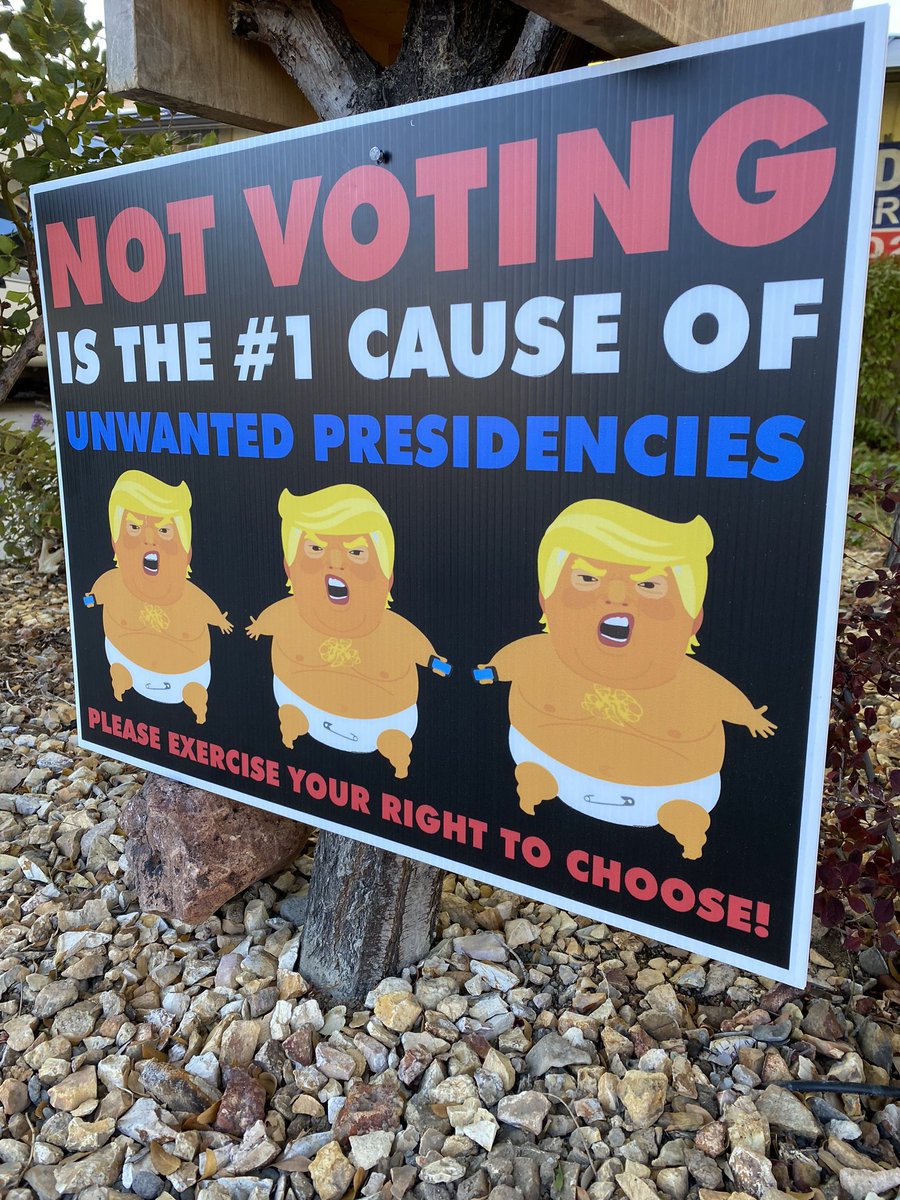 #electionseason is in full bloom now .... Donald Trump is going to Carson City while early voting begins here in Washoe County and more signs like this one are sprouting up in front yards in northwest #Reno