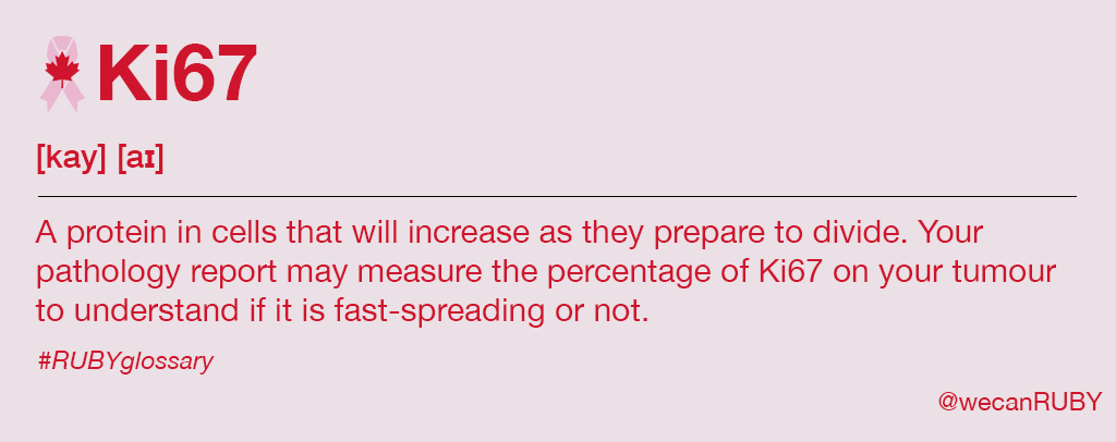 wecanruby's tweet image. Have you heard your pathologist talk about Ki67? #ABCsofBCA #wecanRUBY #RUBYglossary