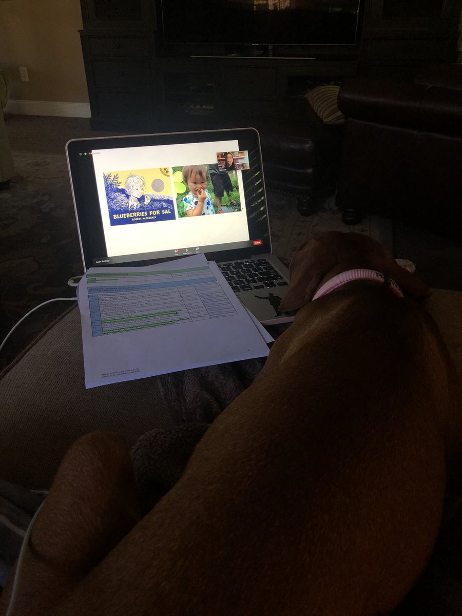 What a great way to spend my Saturday morning at the first Virtual Saturday Reunion! <a href="/TCRWP/">TCRWP</a> So many inspiring sessions that I can take into my virtual teaching 📚