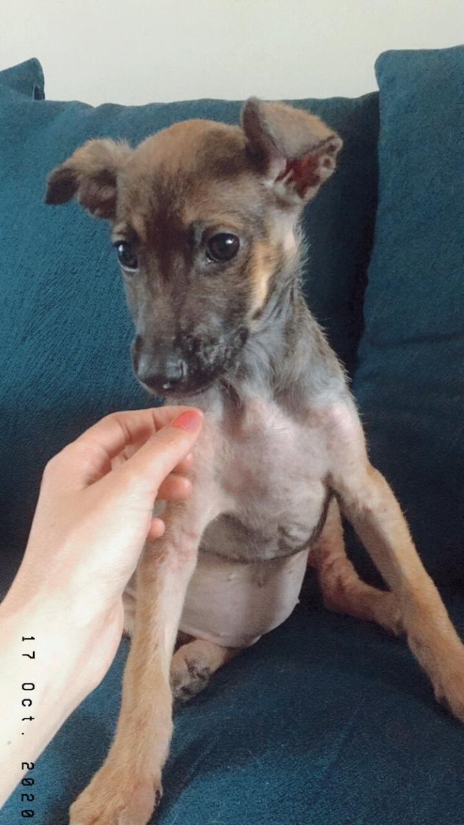 Jung Park tweet media