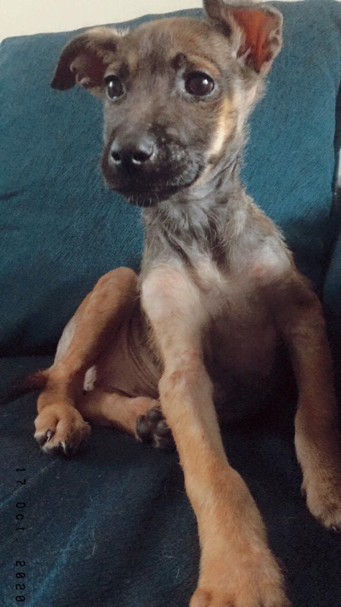 Jung Park tweet media