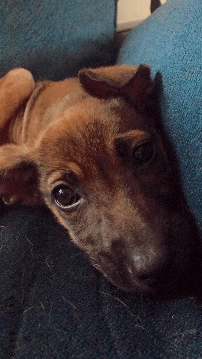 Jung Park tweet media