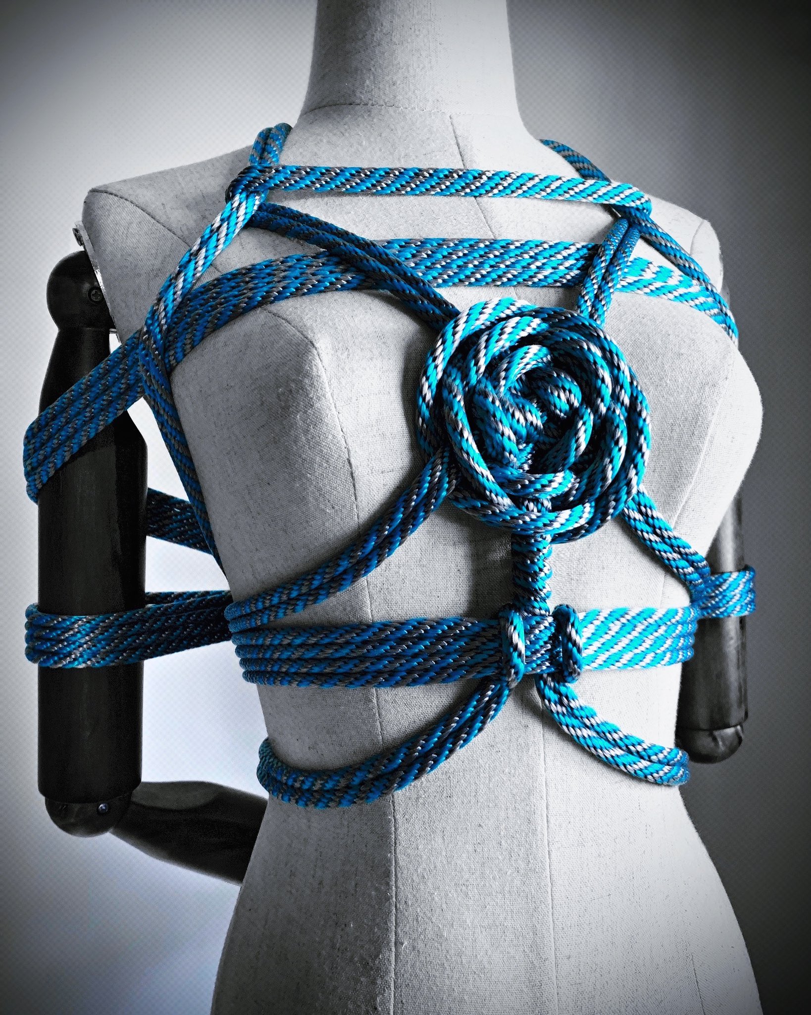 gote shibari  / X