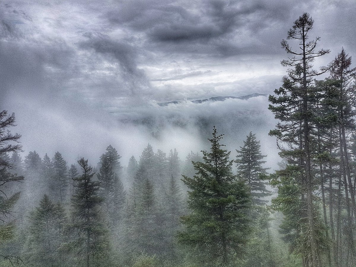chefmorrisz's tweet photo. @KasiaBodurka hello, this is a pic from Sparkling Hill resort in Vernon BC. Where I live. Thanks! https://t.co/VXTR2joQzR