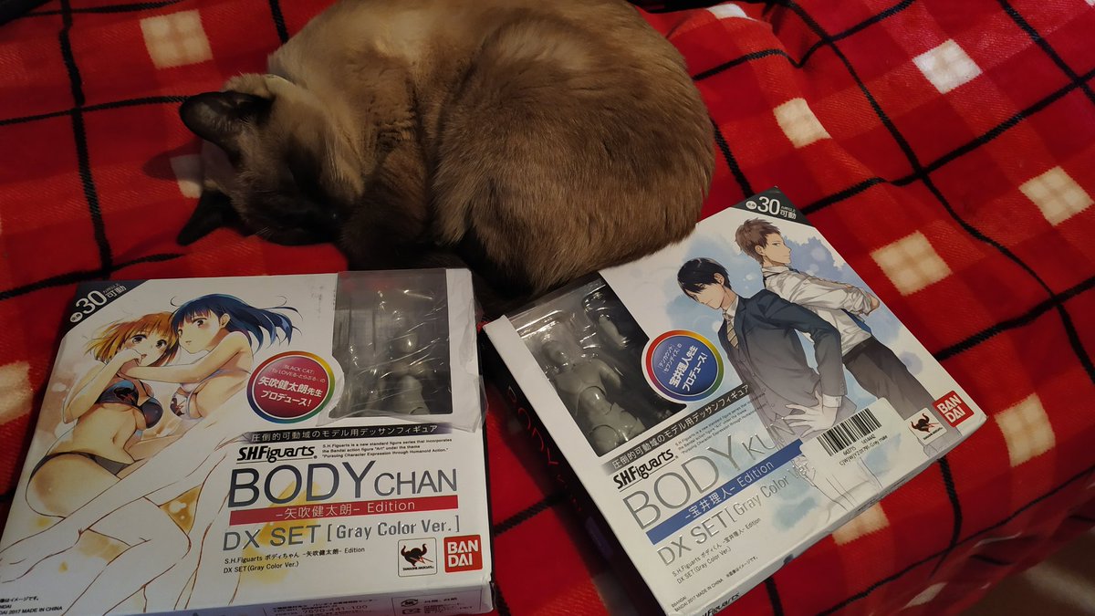 ShimaeStephany's tweet photo. The figures I bought to pose for models and scuplts have finally arrived! However, I noticed a slight difference between covers 😅 Btw my cat loves the smell of new stuff and gets sleepy <3 #figure #posemodels #cat https://t.co/4xo58k3Kg1