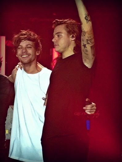 harry and louis during 2015; a beautiful thread