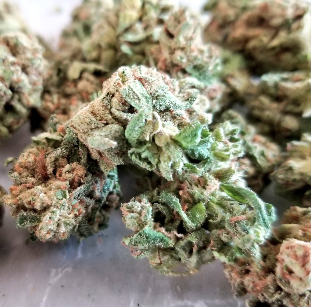 TheFLweed's tweet photo. Alright you guys, I hit up @HarvestHOC for a $52 1/4 of Durban Margy at 19%. I also learned the smalls/pop will only be sold in the 1/2 oz deal for now & concentrates should be coming in weeks not months πππβ #CannabisCommunity #mmjflorida #cannabisflorida https://t.co/8JsYXKHbfR