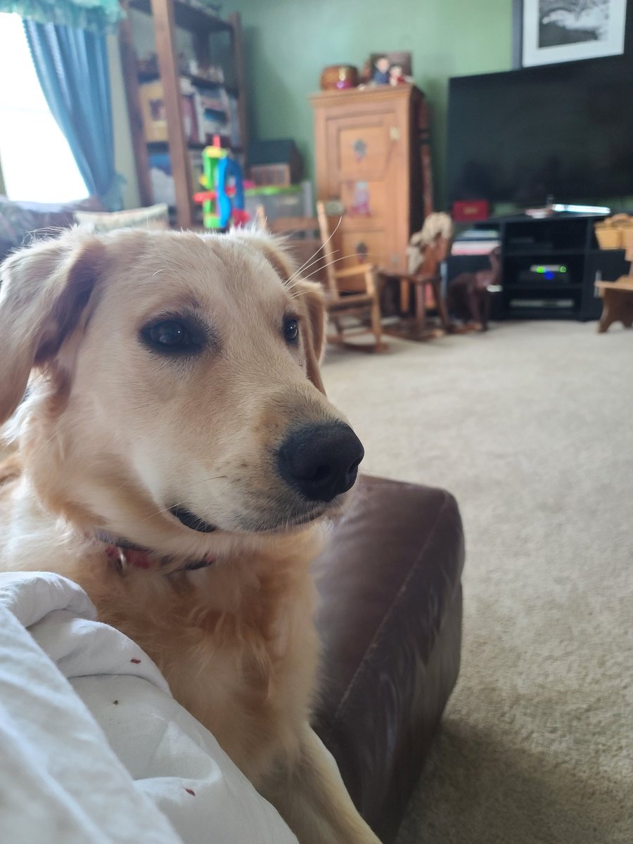 doverberry's tweet photo. @DannyBurgessFL Cooper is for Danny Burgess https://t.co/VAqKKYLLDj