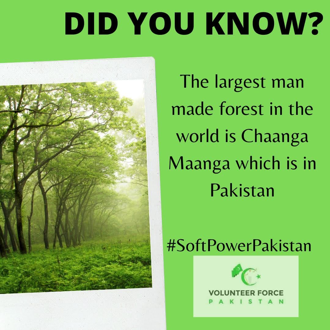 No doubt, Pakistan is full of amazing and beautiful places. All kind of natural beauty is present in many areas of Pakistan including streams, rivers, and mountains, etc. #SoftPowerPakistan