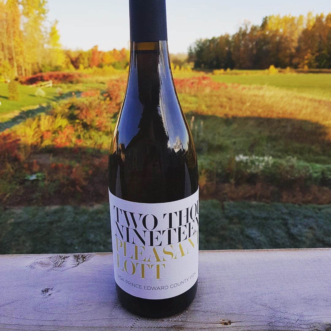 NEW RELEASE! Pleasant Lott is an aromatic County blend of Gewurztraminer, Muscat, Pinot Gris, and Riesling. This was made in honour of Charlene's late mother, whose ancestors (Lott) settled in the County in the 1700s. 🥂

#wine #pec #ontariowine #winecountry #countywine #winelove