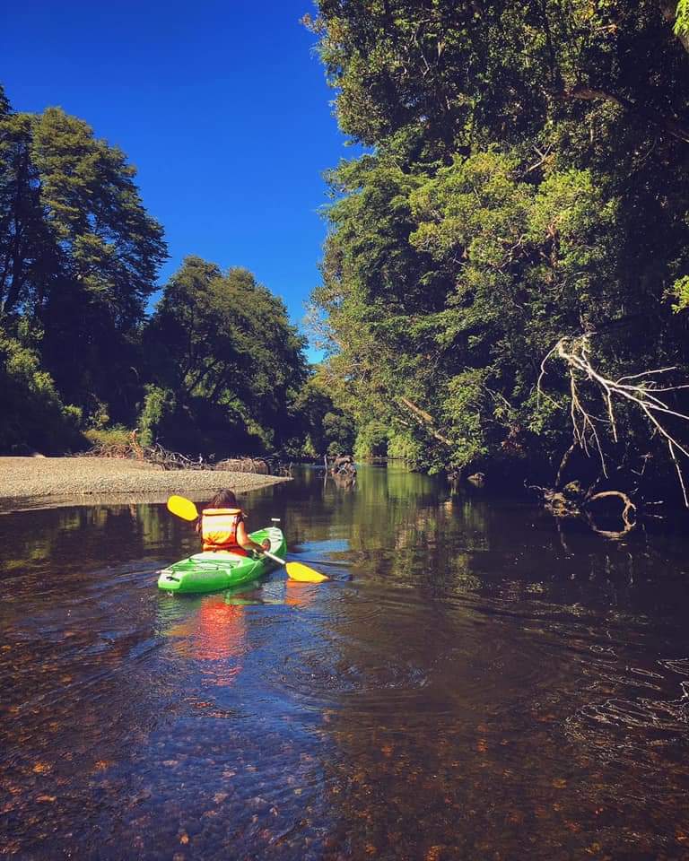 repuleufu's tweet photo. El recorrido del #rio... hoy por recreación y conexión con la #naturaleza y la historia, pero que originalmente fue la ruta de acceso de los primitivos habitantes de los bosques interiores de la #isladechiloe 🚣🏼‍♂️🚣🏿 https://t.co/UOrEczZbjK