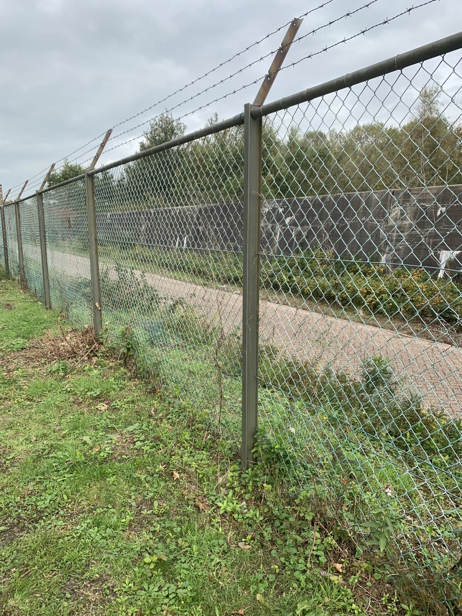 Hardlopen in Meijendel. 🏃🏽‍♂️ Er zijn vervelender plaatsen op aarde 🌍 #Meijendel